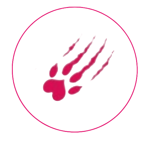 Cougar FM