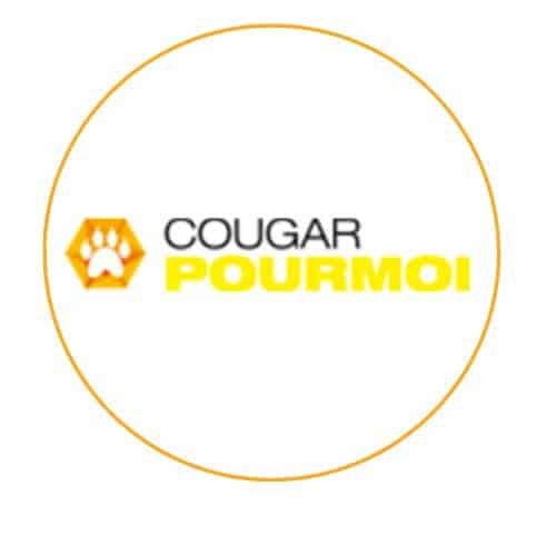 CougarPourMoi : capture de la plateforme testée