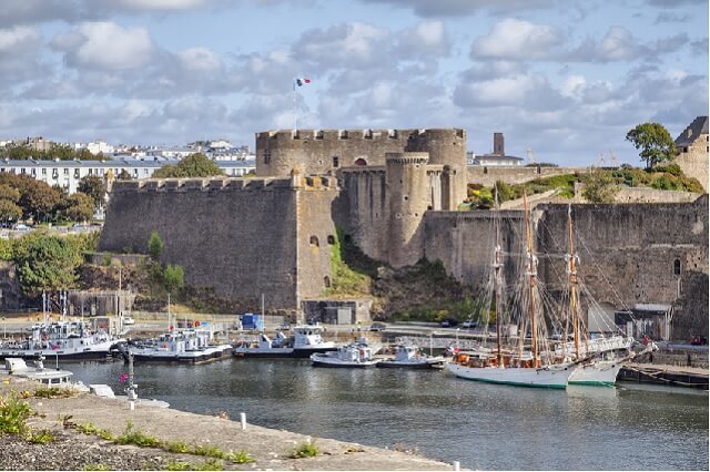 cougar-brest