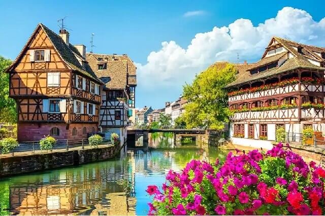 cougar-strasbourg