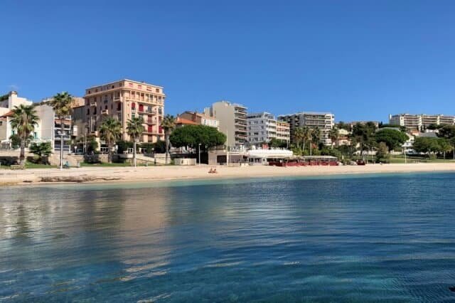 cougar-toulon