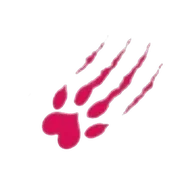 socougar-avis